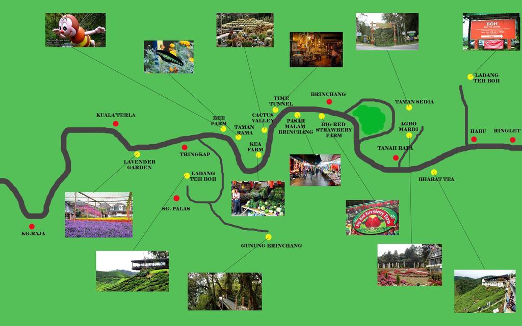 Homestay Cameron Highlands Mikayla 外观 照片